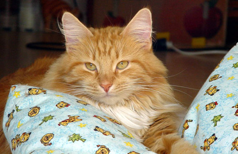 Alexseij im September 2003