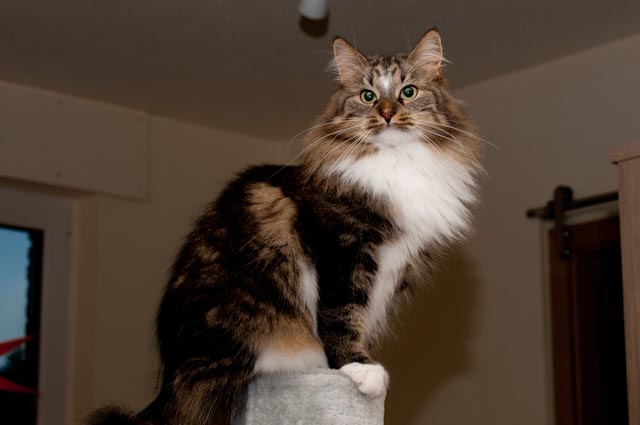 Amy im Winter 2012