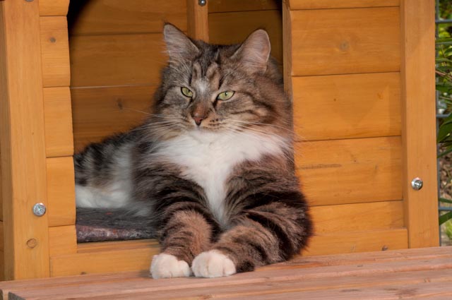 Amy im Sommer 2011
