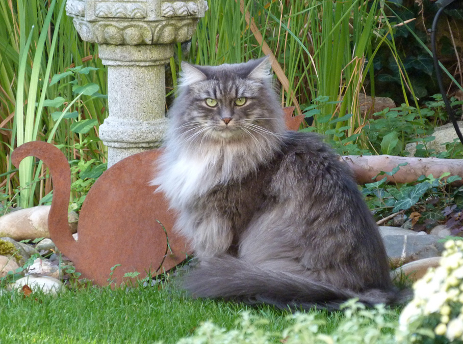 Beppo-Tao am 12.9.2018