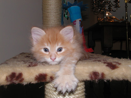 Dimitri am 15.2.2004