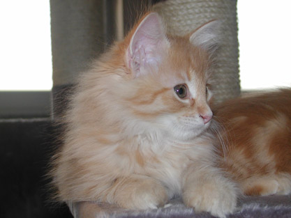 Dimitri am 17.3.2004
