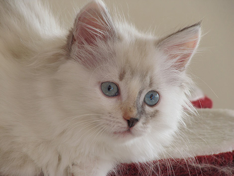 Fanya am 8. Mai 2011