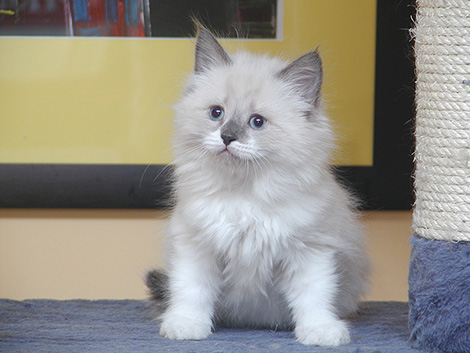 Finn am 19. April 2011