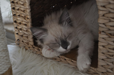 Finn am 23. Juni 2011