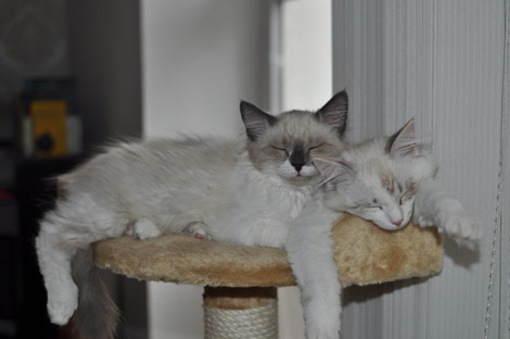 Finn und Fee am 23. Juni 2011