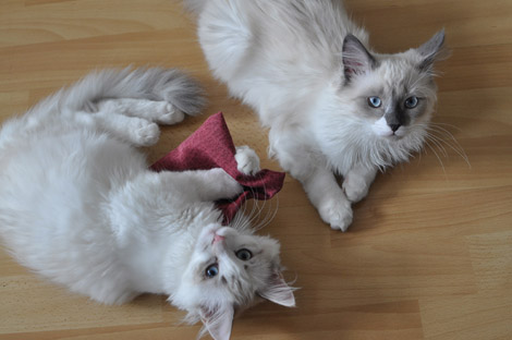 Finn und Fee am 23. Juni 2011