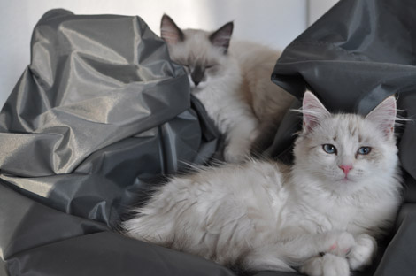 Finn und Fee am 23. Juni 2011