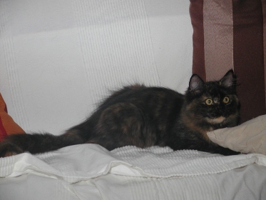 Fedotia am 29.08.2010