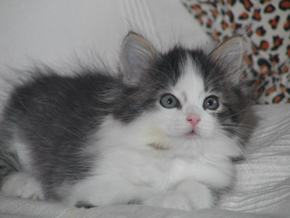 Herriet am 4. Juni 2011