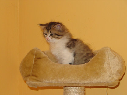 Ivan am 26.12.2011