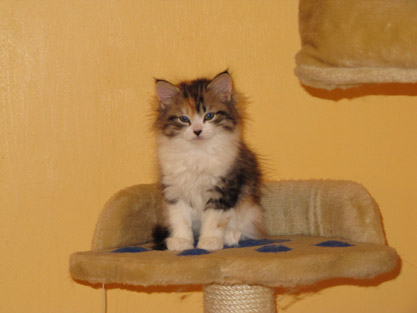 Ivana am 26.12.2011