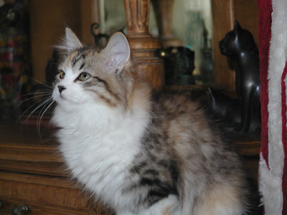Ivana am 05.02.2012