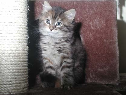 Jule am 03.06.2012