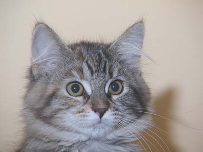 Jule am 17.07.2012