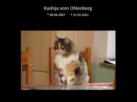 Kashija vom Ohlenberg