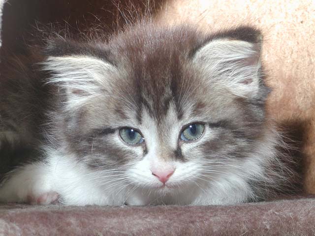 Karlos am 24.06.2012