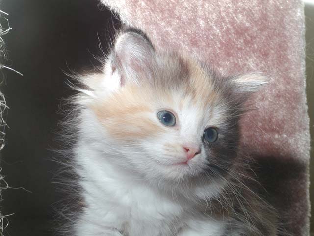 Kathi am 17.06.2012