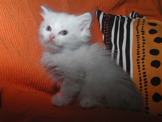 Konstantin am 11.06.2012