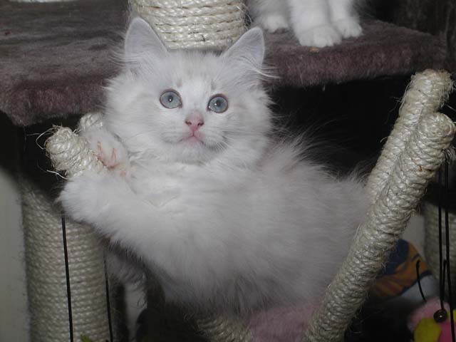 Konstantin am 17.07.2012