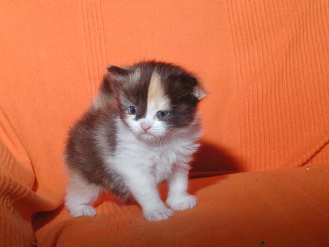 Kyra am 27.05.2012
