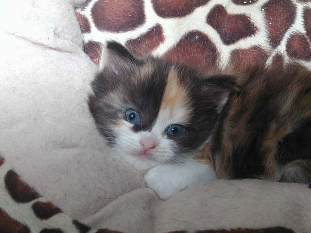 Kyra am 05.06.2012