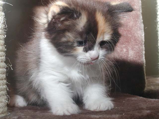 Kyra am 17.06.2012