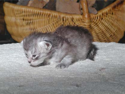 Lancelot am 31.05.2012