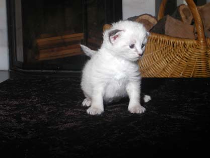 Leon am 31.05.2012