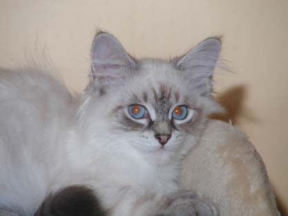 Leon am 02.09.2012