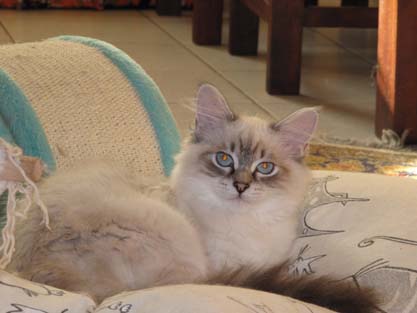 Leon am 27.09.2012