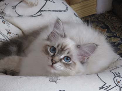 Leon am 27.09.2012