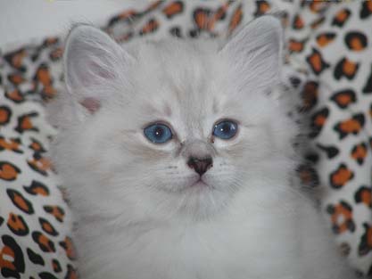 Linus am 23.06.2012
