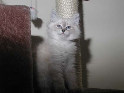 Linus am 18.07.2012