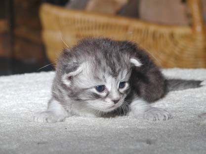 Lizzi am 31.05.2012