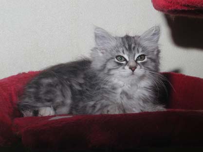 Lizzi am 18.07.2012