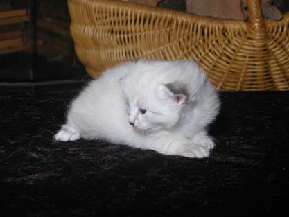 Lucy am 31.05.2012