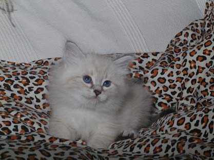 Lucy am 23.06.2012