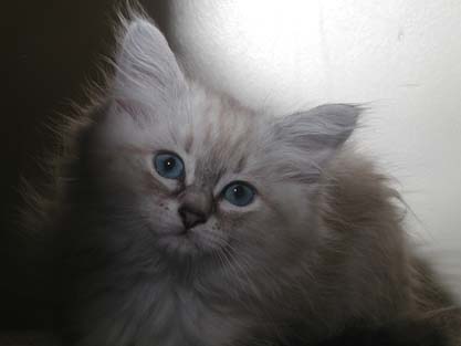 Lucy am 18.07.2012