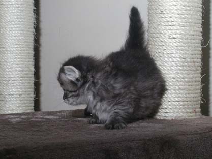 Minka am 25.06.2012