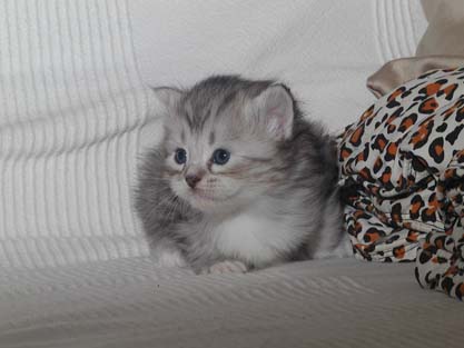Molly am 18.06.2012