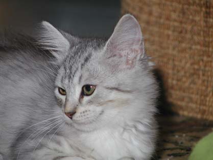 Molly am 02.09.2012