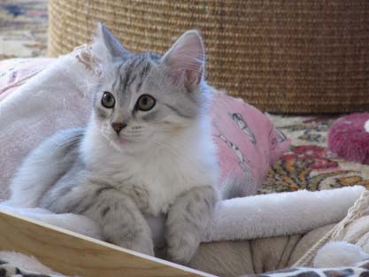 Molly am 29.09.2012