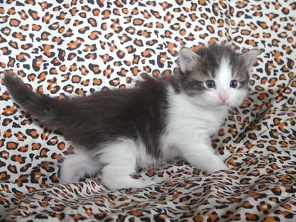 Nikolay am 13.5.2007