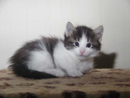 Nikolay am 19.5.2007