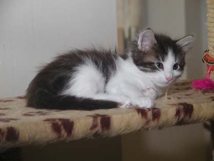 Nikolay am 26.5.2007