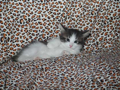 Nikolay am 2.6.2007
