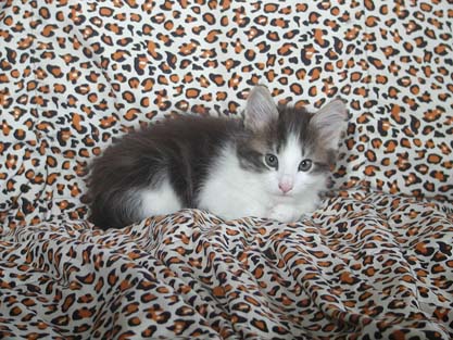 Nikolay am 9.6.2007