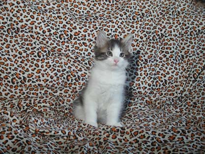 Nikolay am 17.6.2007