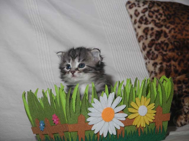 Nele am 10.03.2013